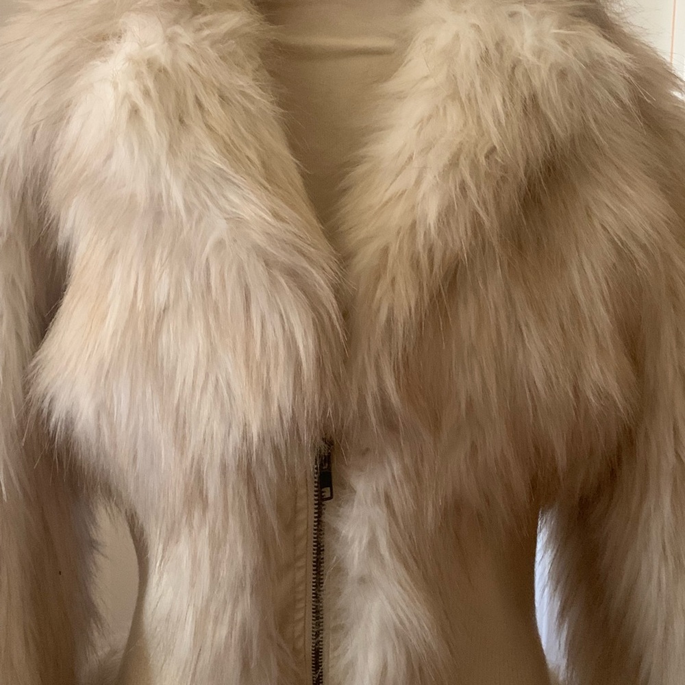 Jacket - Picture 2 of 5